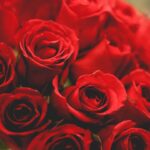Love & Anniversary