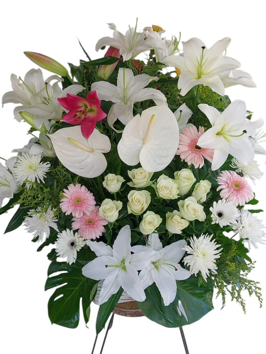 Tranquil Haven – White Flowers Arrangement Tranquil Haven white flowers arrangement by RosaBella Flowers