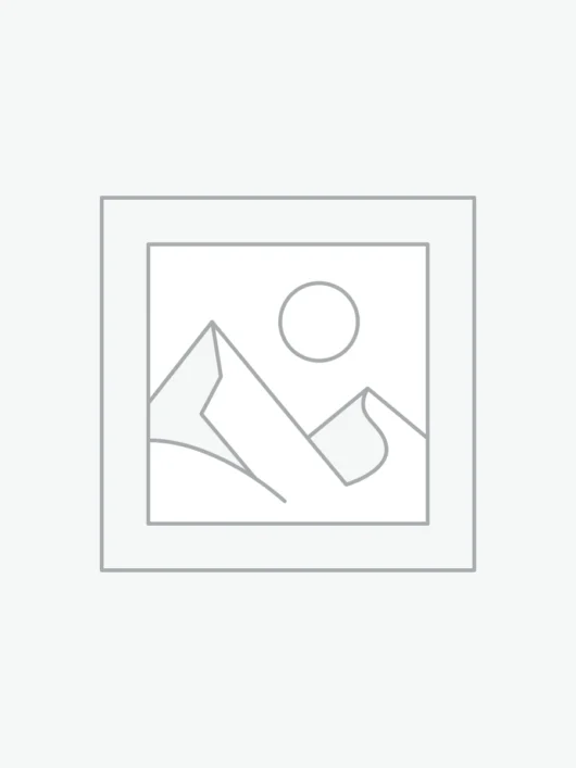 عنصر نائب Placeholder